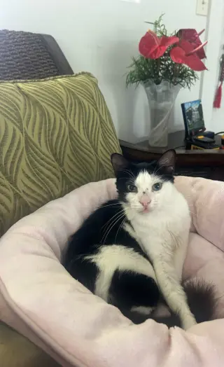 Bucky Napa