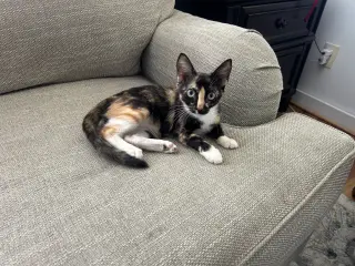 Hilo and Lala