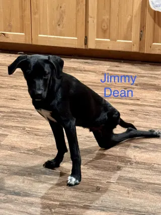 Jimmy Dean Dot *LOCAL*