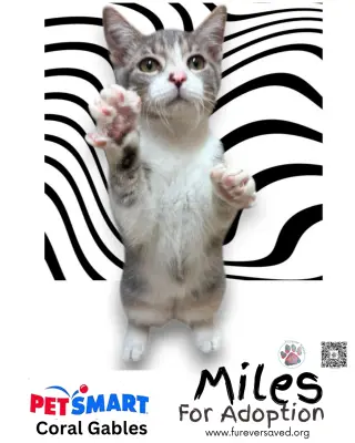 Miles