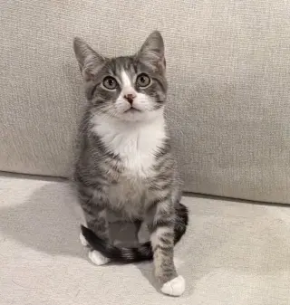 Terrance
