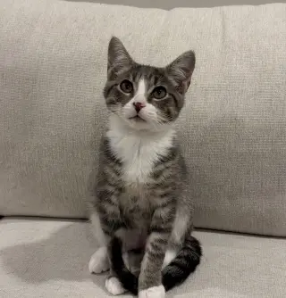 Terrance