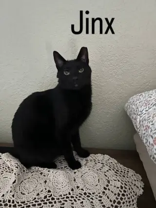 Jinx