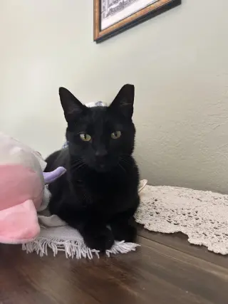 Jinx