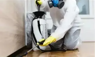 PEST CONTROL FUMIGACIÓN