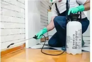 PIÑAS PEST CONTROL🦟🐀🐛