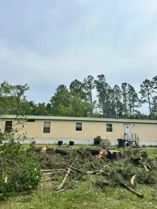 Professional Tree Services