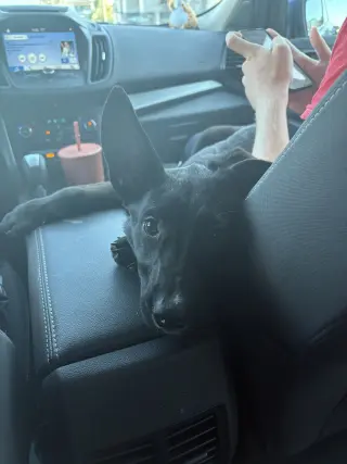 Mimi