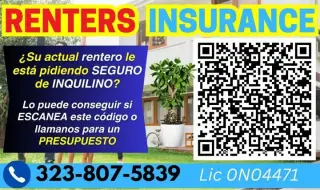 Necesita SEGURO de INQUILINO?