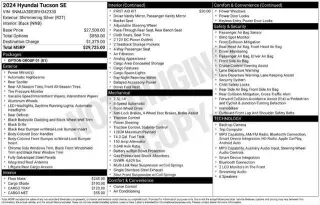 Hyundai TUCSON 2024 SE 4dr SUV