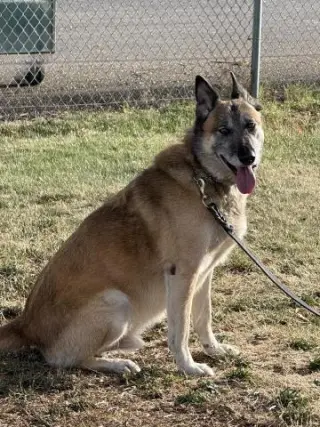 RANGER