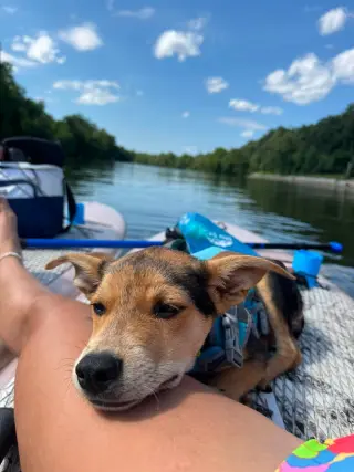 Winston