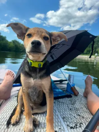 Winston