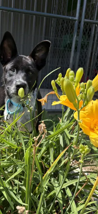 Sam