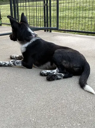 Sam