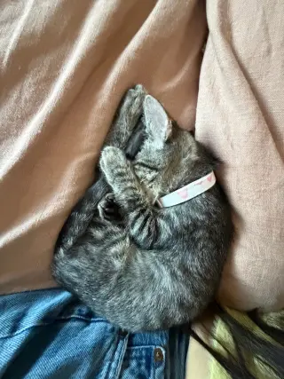 Willow (& Edward)
