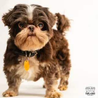 Walter