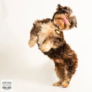Walter