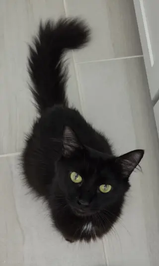 Eloise