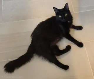 Eloise