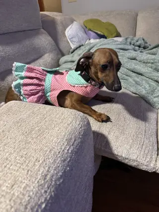 Libby2