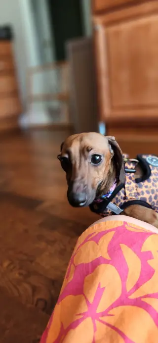 Libby2