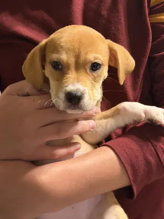 Sabine