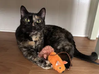Tiana