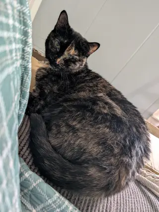 Tiana