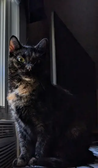 Tiana