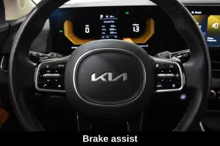 Kia Carnival Hybrid 2026 EX 4dr Mini-Van