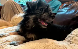 SKIPPER