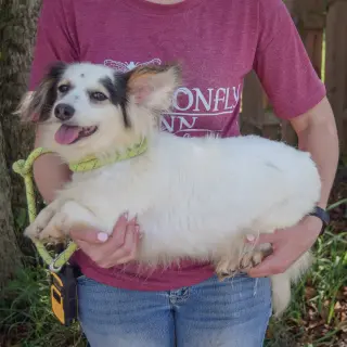 Tiny