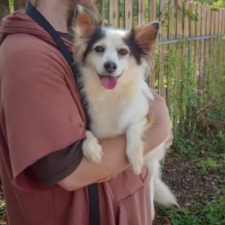 Big Mama