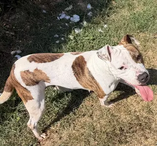 Fiona