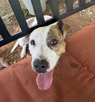 Fiona