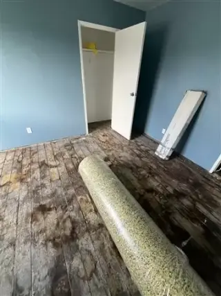 Carpet & Floors installers