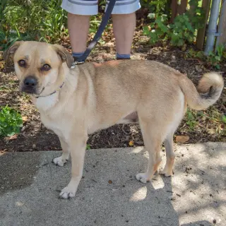 Amy