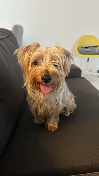 Charlie *