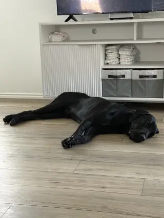 Sirius