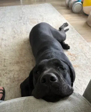 Sirius