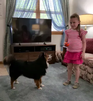 Chippy Special Needs