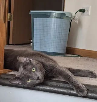 Sebastian