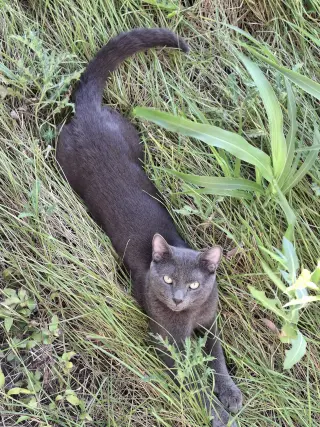 Sebastian
