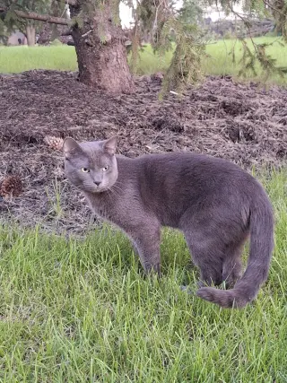 Sebastian