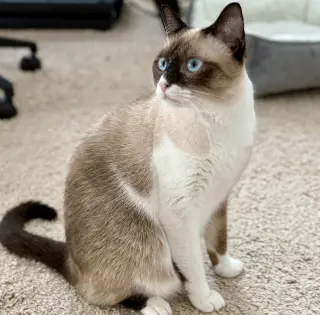 Bonnie #blue-eyes