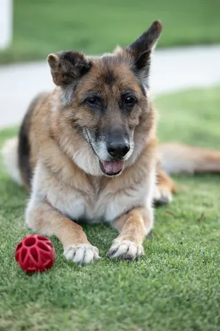 Molly