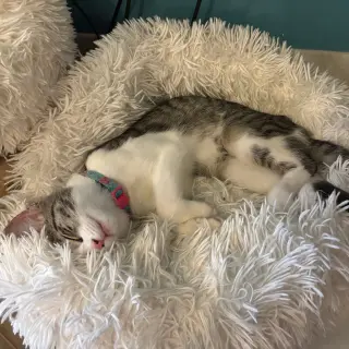 Katara & Sokka