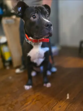 Murphy