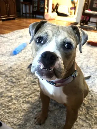 Winnie